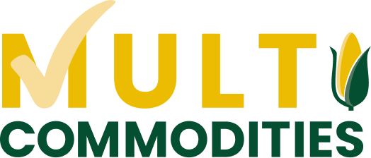 Multicomodities